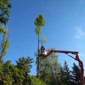 Impressionen von Pan-Natura - Gartengestaltung und Landschaftsservice