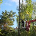 Impressionen von Pan-Natura - Gartengestaltung und Landschaftsservice