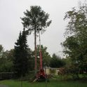 Impressionen von Pan-Natura - Gartengestaltung und Landschaftsservice