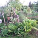 Impressionen von Pan-Natura - Gartengestaltung und Landschaftsservice